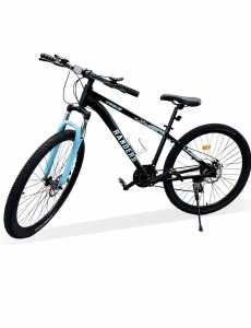 BICICLETA MTB RODADO 29 RANDERS CASUS DAMA  ALUMINIO Novedad 2024